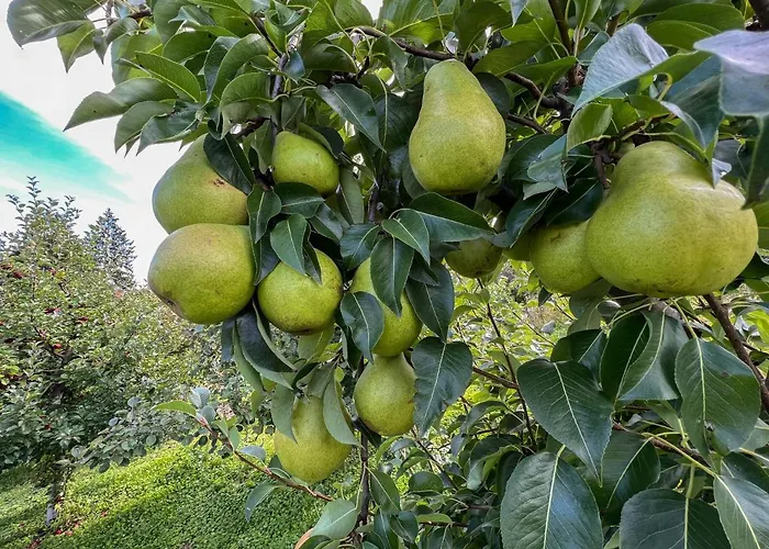 Villa Sarajevo Vares